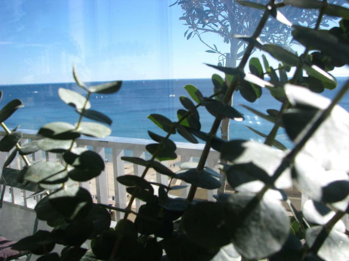 Alicante Ocean View Bagian luar foto