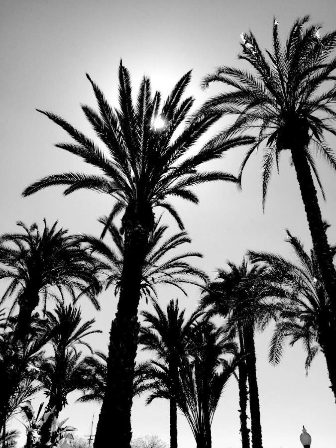 Alicante Ocean View Bagian luar foto